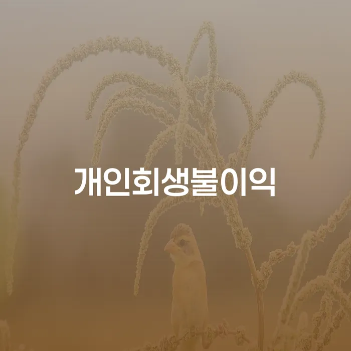 신용회복위원회개인회생 개인회생으로 해결방법 체크리스트