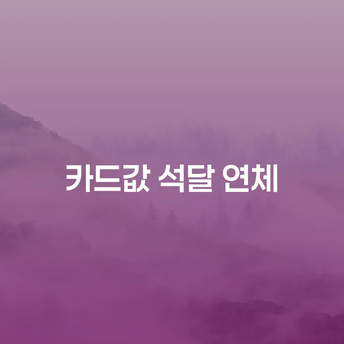 도산전문변호사 개인회생 문제해결방법 비교해보기