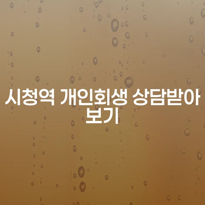 시청역 개인회생 상담받아보기