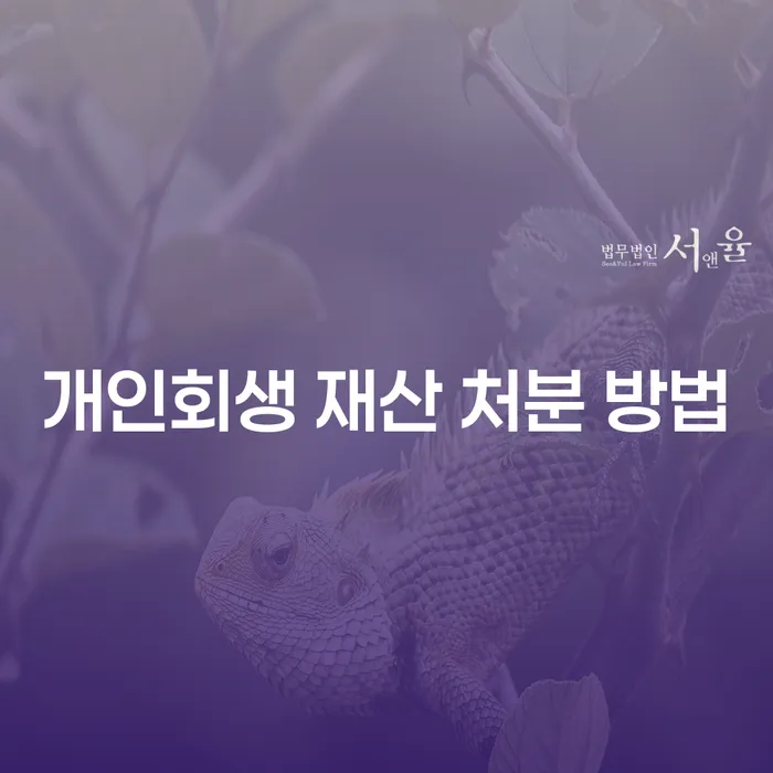 개인회생 재산 처분, 어떻게 해야 할까요?
