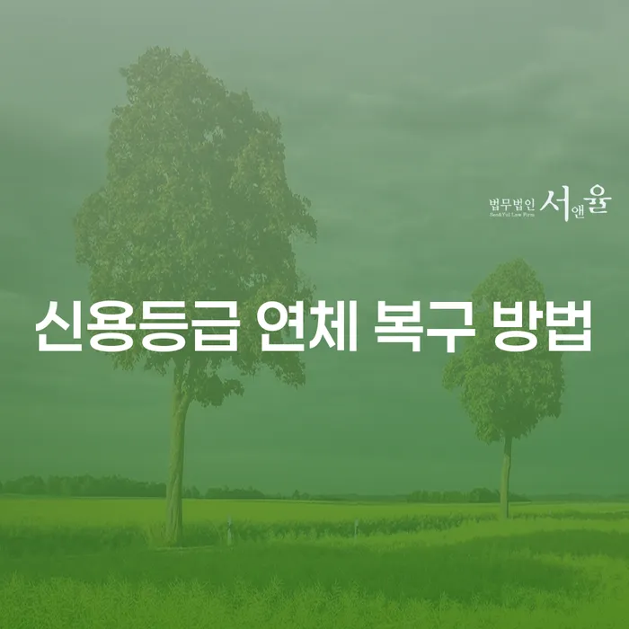 신용등급 연체 복구 방법, 어떻게 해야 할까요?